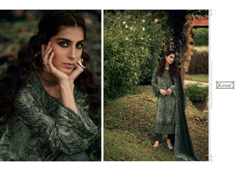 Kesar Karachi Paisley Velvet With Fancy & Embroidery Work Stylish Designer Casual Wear Salwar Suit