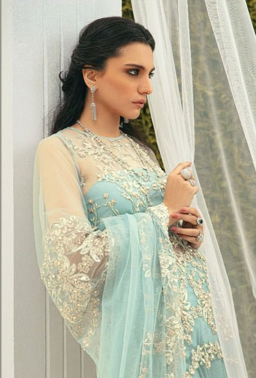 Rawayat Fashion Rizwana Vol 2 Butterfly Net Pakistani Style Wedding Wear Salwar Suits