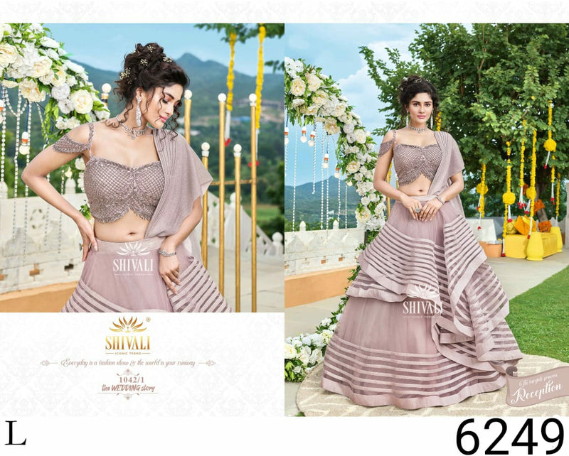 Shivali Dno 1042 A Fancy Stylish Designer Wedding Wear Graceful Look Indo Western