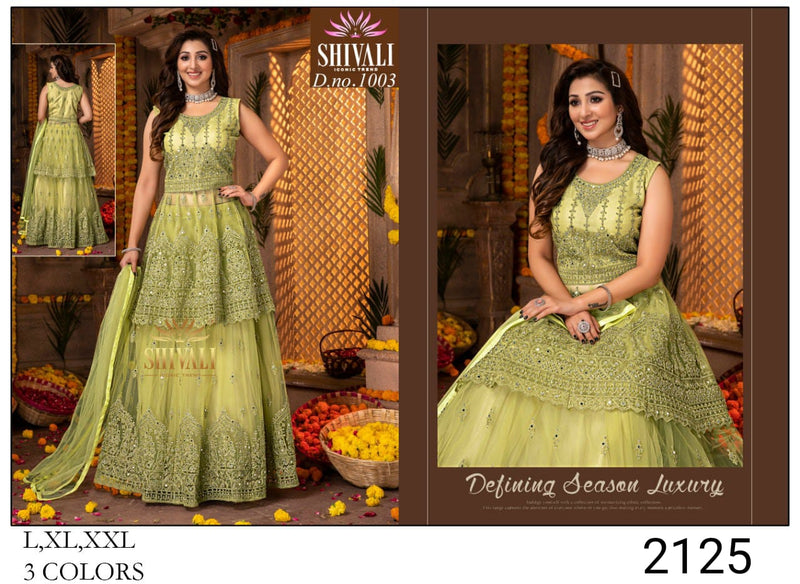 Shivali Dno 1003 Georgette Stylish Designer Heavy Work Wedding Wear kurti