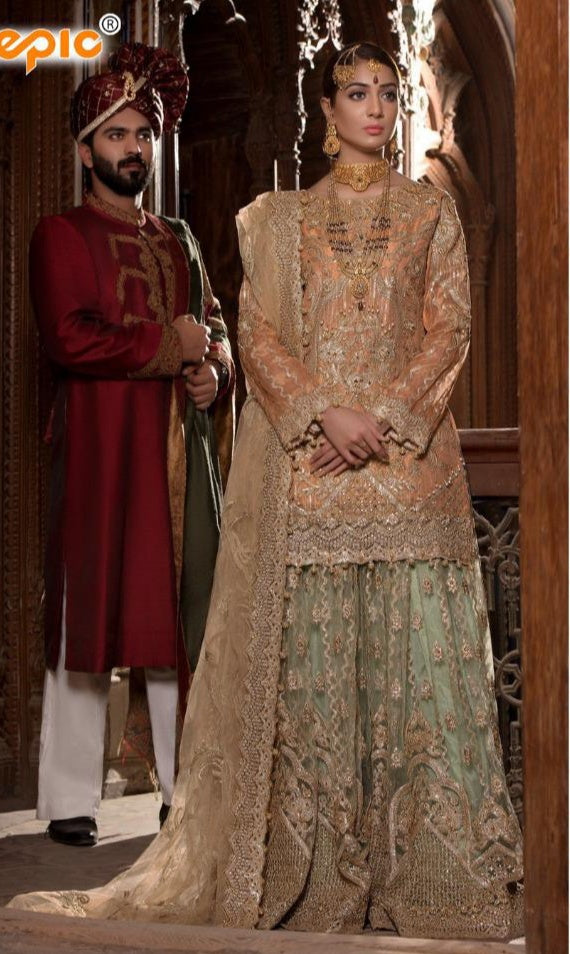 Fepic Rosemeen 39006 Heavy Net Embroidery Bridal Salwar Kameez